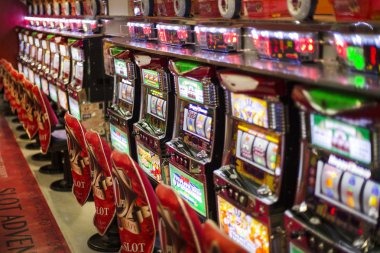 selebtoto wap live dealer studio broadcast